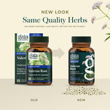 Gaia Herbs Valerian Root Capsules with herbal background