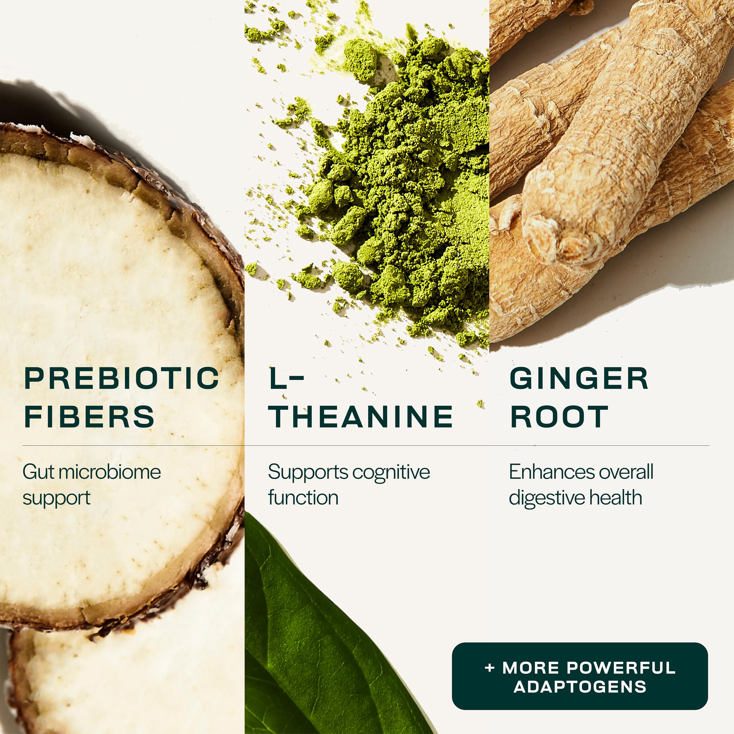 Gainful Performance Greens Chlorella Supplement mixed in water