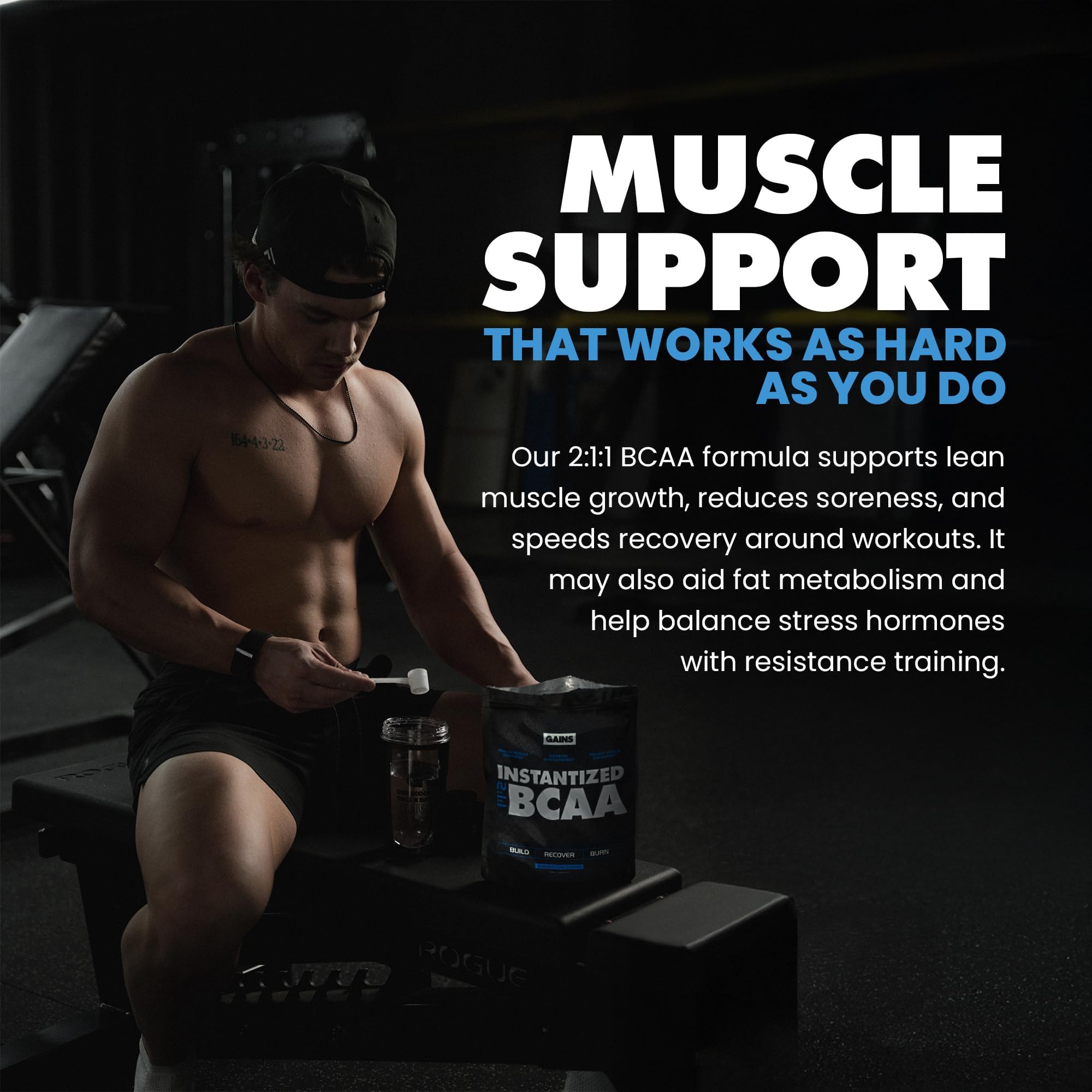 GAINS IN BULK Instantized BCAAs 454g packaging
