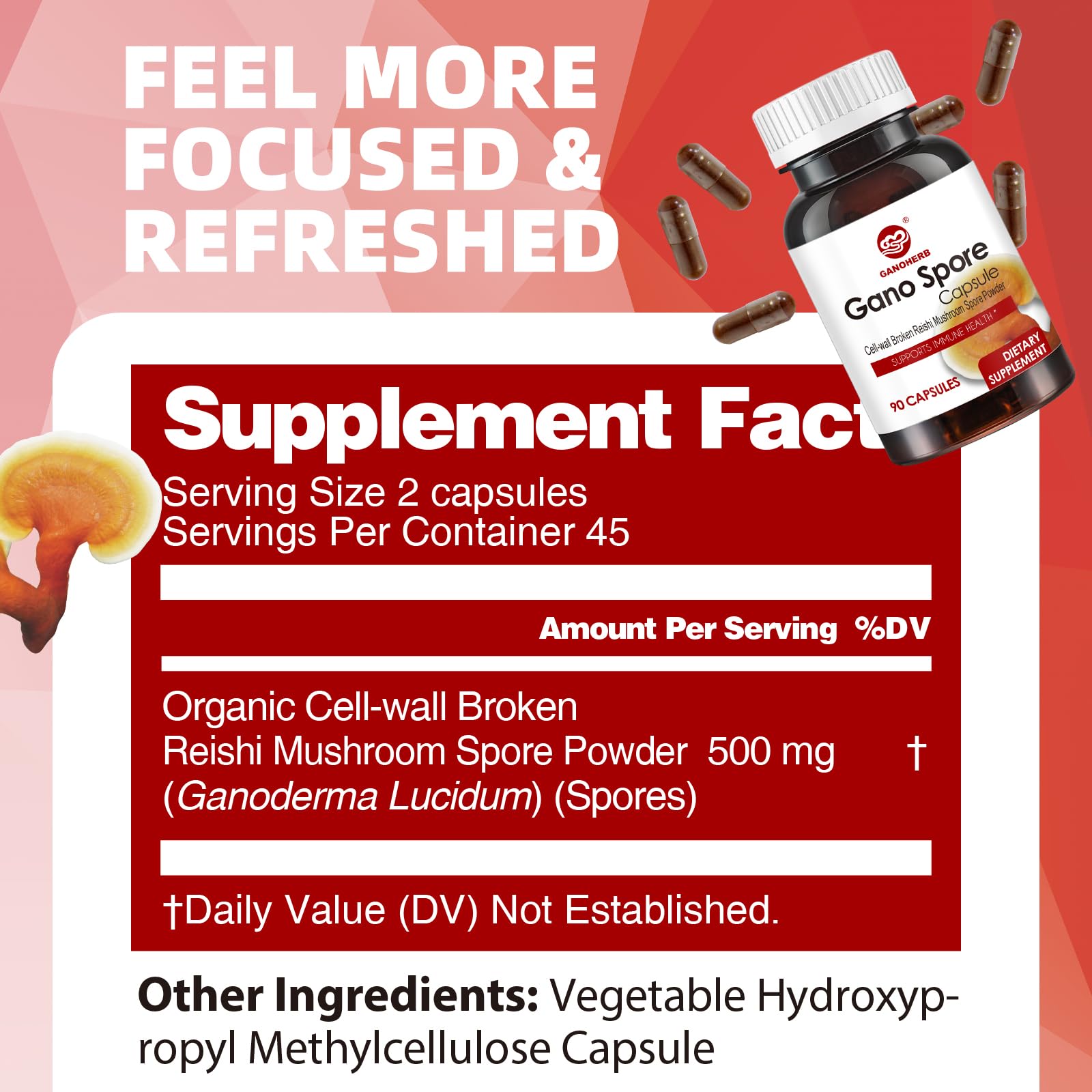 GANOHERB Reishi Mushroom Capsules 100g back view