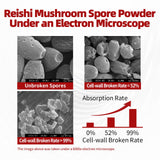 GANOHERB Reishi Mushroom Capsules 100g with dosage information