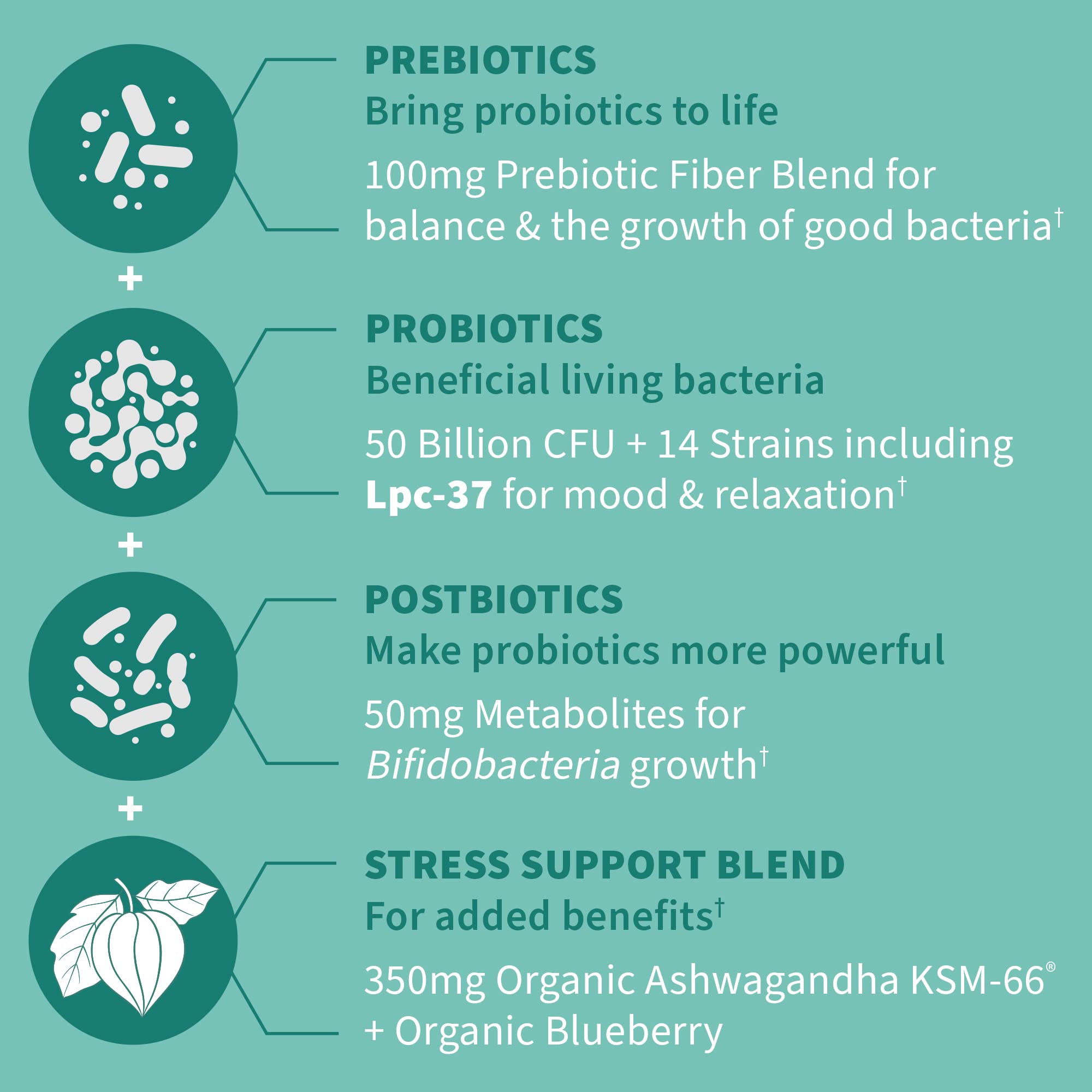 Garden of Life Calm Probiotic supplement on a wooden table