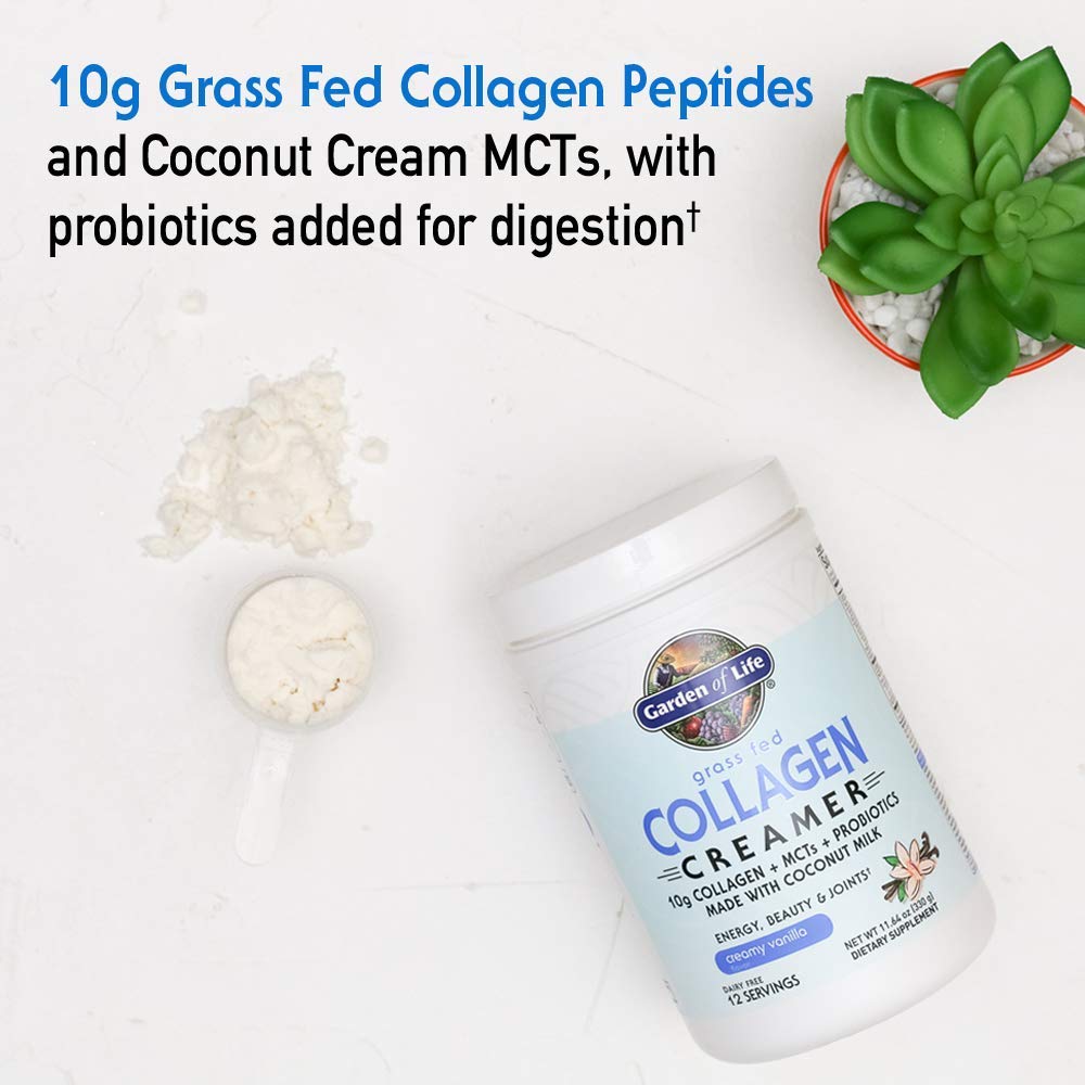 Garden of Life Collagen Creamer Powder mixed in a cup of coffee