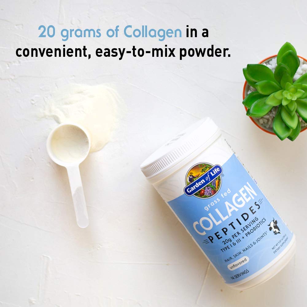 Garden of Life Collagen Peptides Powder on a kitchen counter