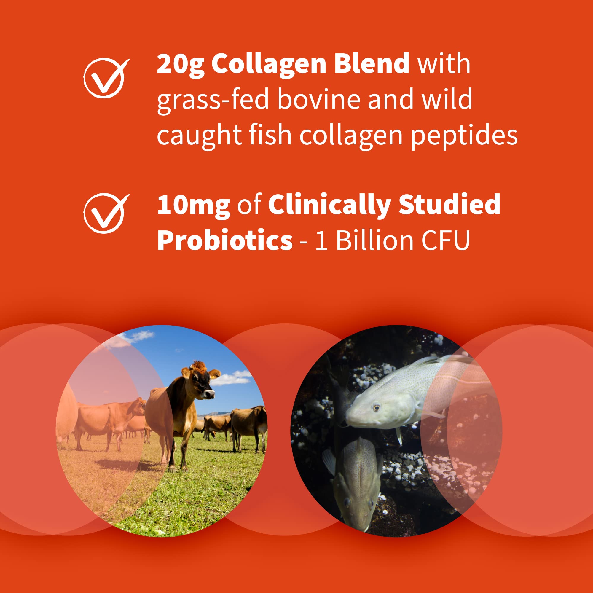 Garden of Life collagen powder in a glass of water