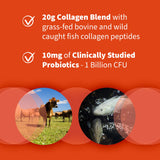 Garden of Life collagen powder in a glass of water