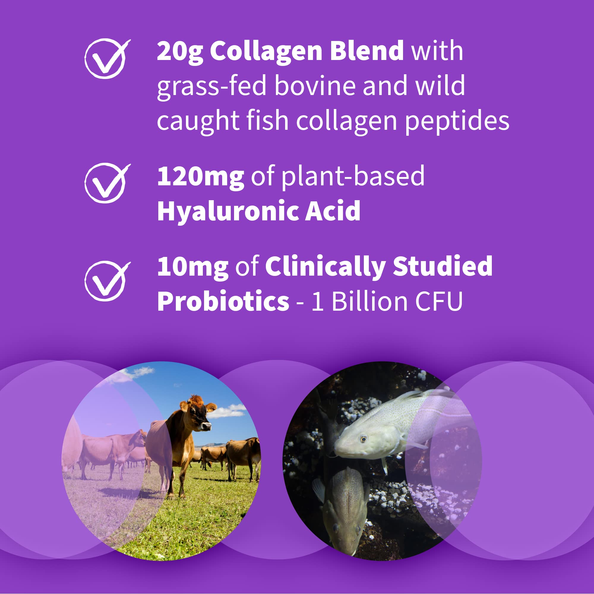 Garden of Life Collagen Powder in a glass of water