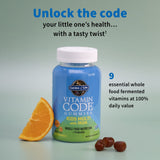 Garden of Life Kids Multivitamin Gummies back view displaying nutritional information