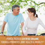 Garden of Life Maximum Strength Turmeric supplement ingredients list