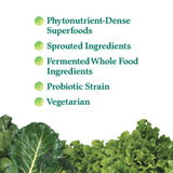 Garden of Life Perfect Food Superfood Greens Blend 300g packaging
