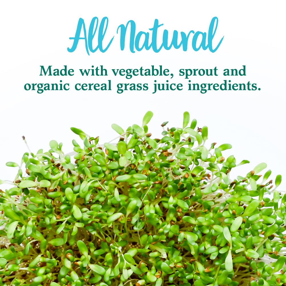 Garden of Life Perfect Food Superfood Greens Powder scoop