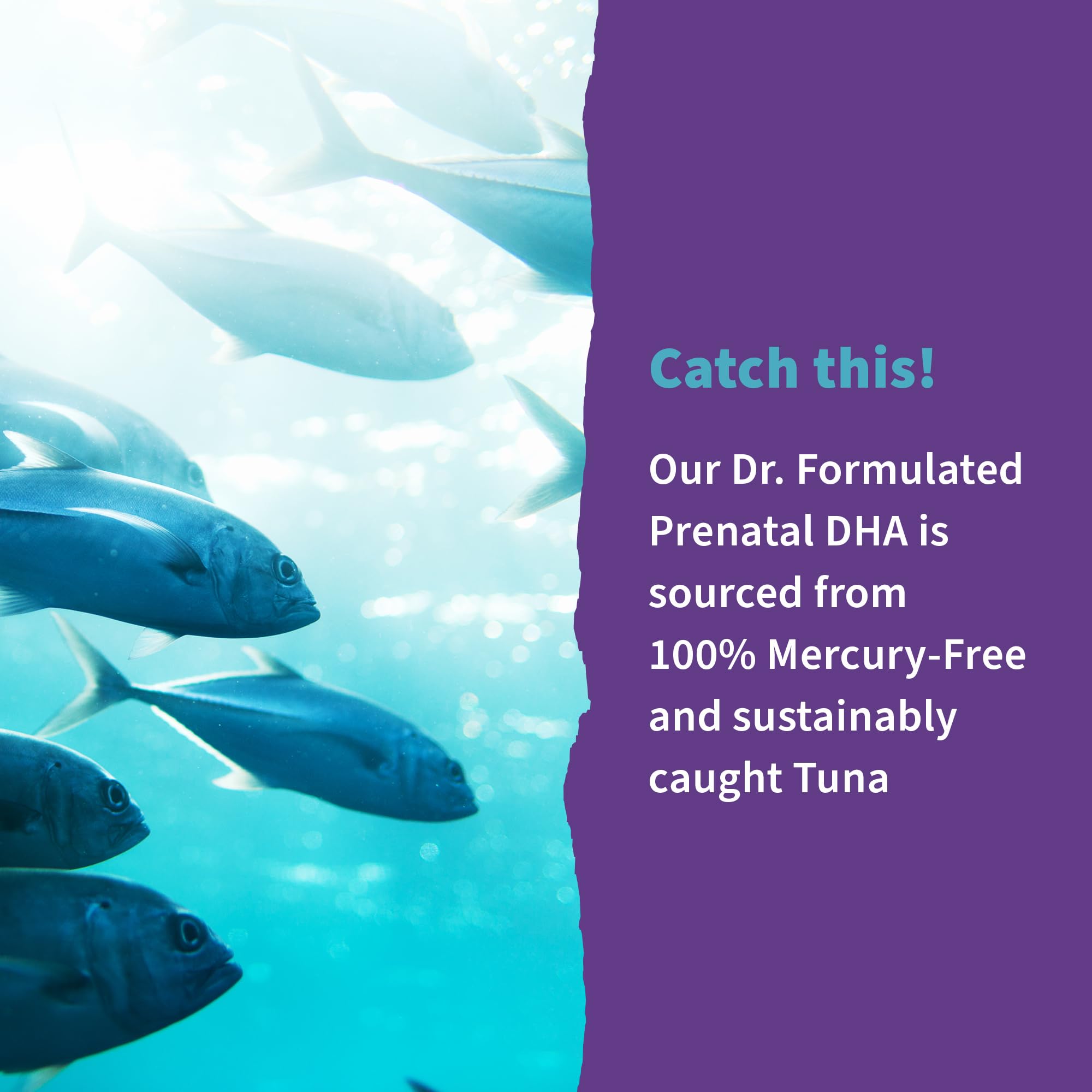 Garden of Life Prenatal DHA Omega 3 Supplement softgel in hand