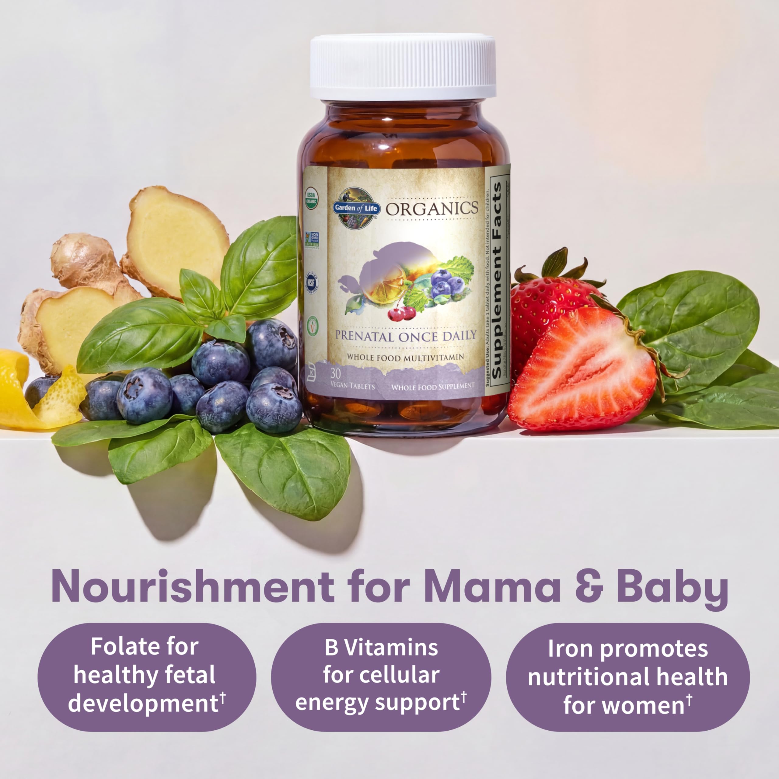 Garden of Life Prenatal Multivitamin Once Daily 200g tablet close-up