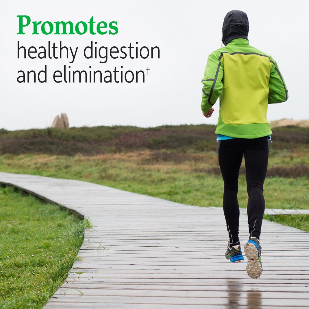 Garden of Life Probiotic Fitbiotic Weight Management Powder on a kitchen counter