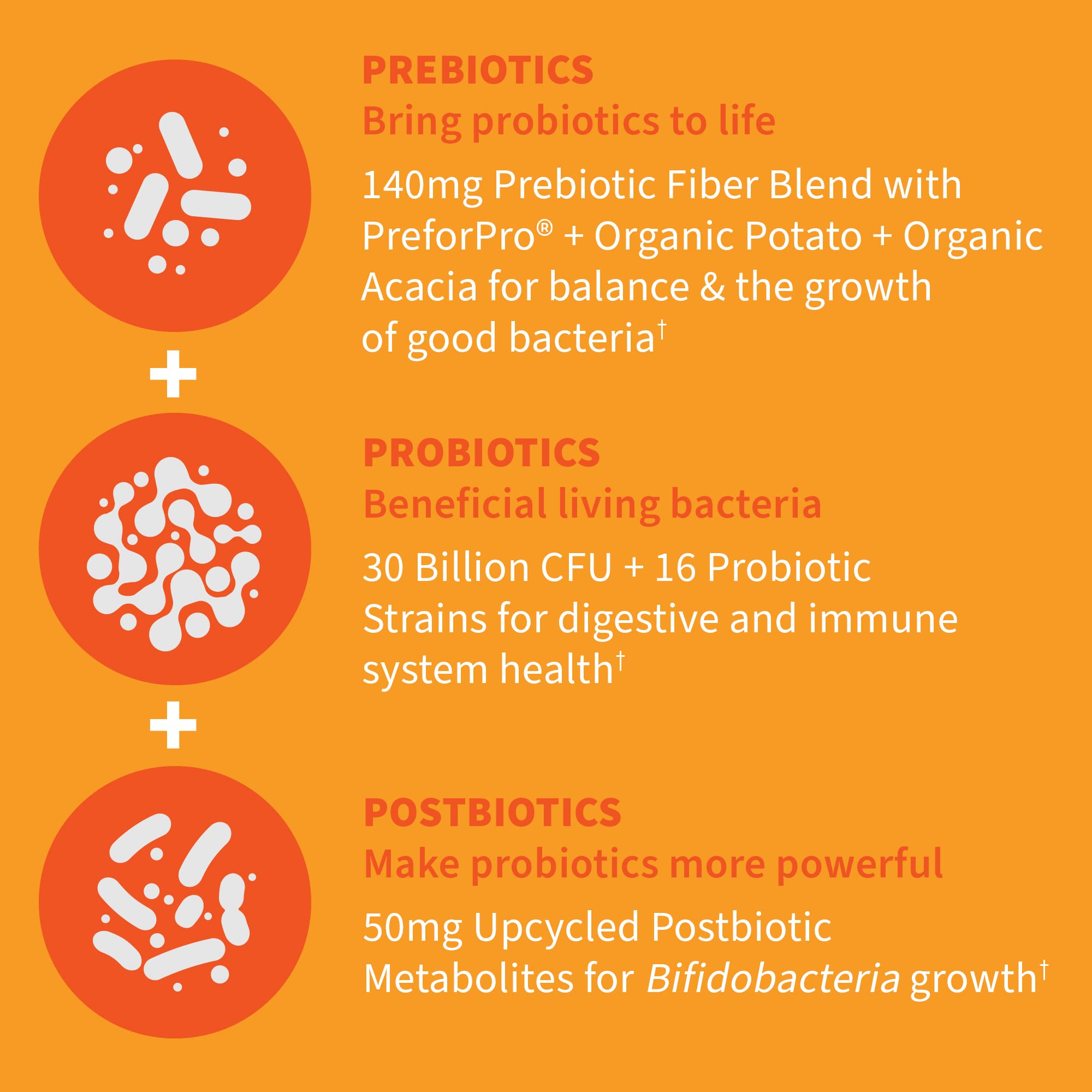 Garden of Life Probiotic Supplement 30 Billion CFU packaging