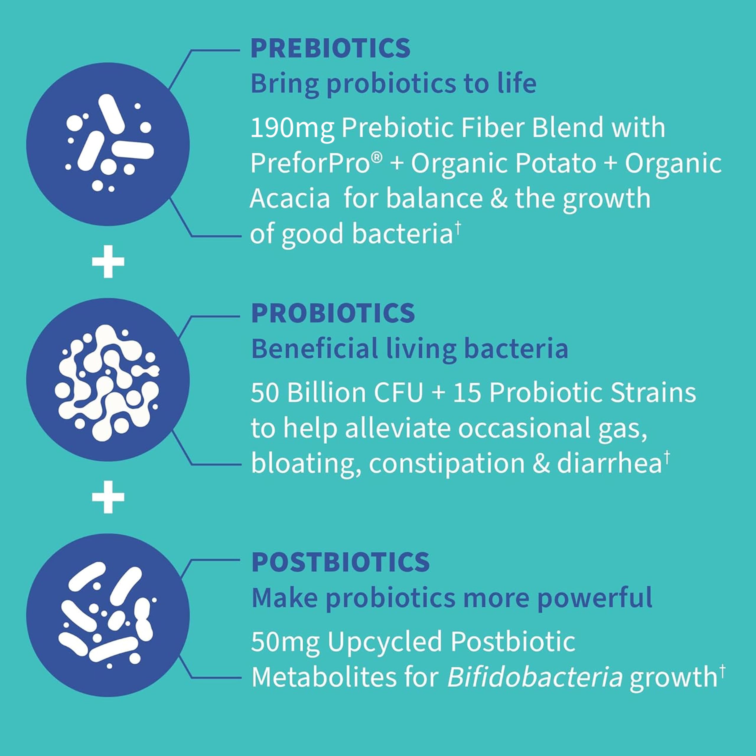 Garden of Life Probiotic Supplement 50 Billion CFU capsule close-up
