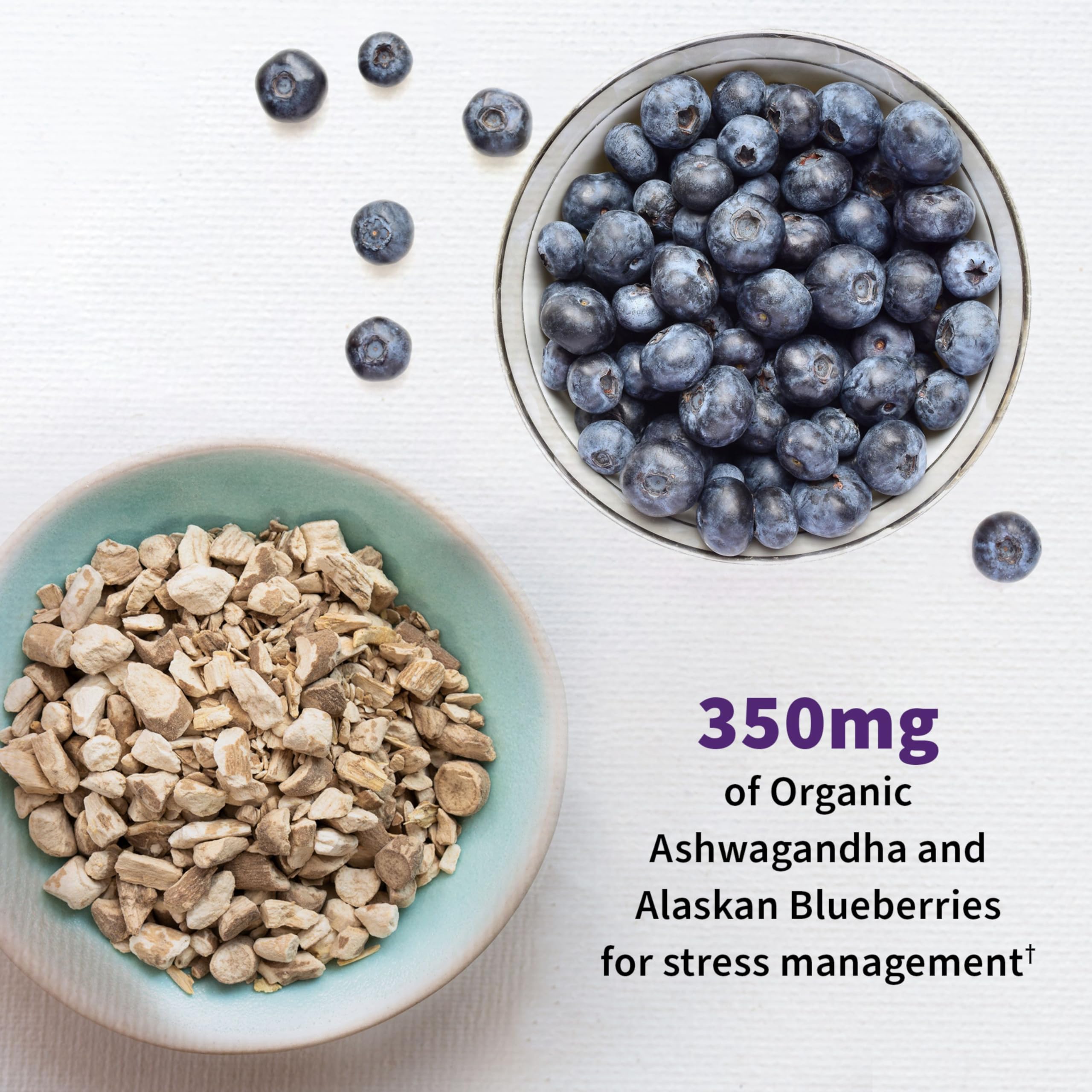Garden of Life Probiotics Mood+ capsules on a wooden table
