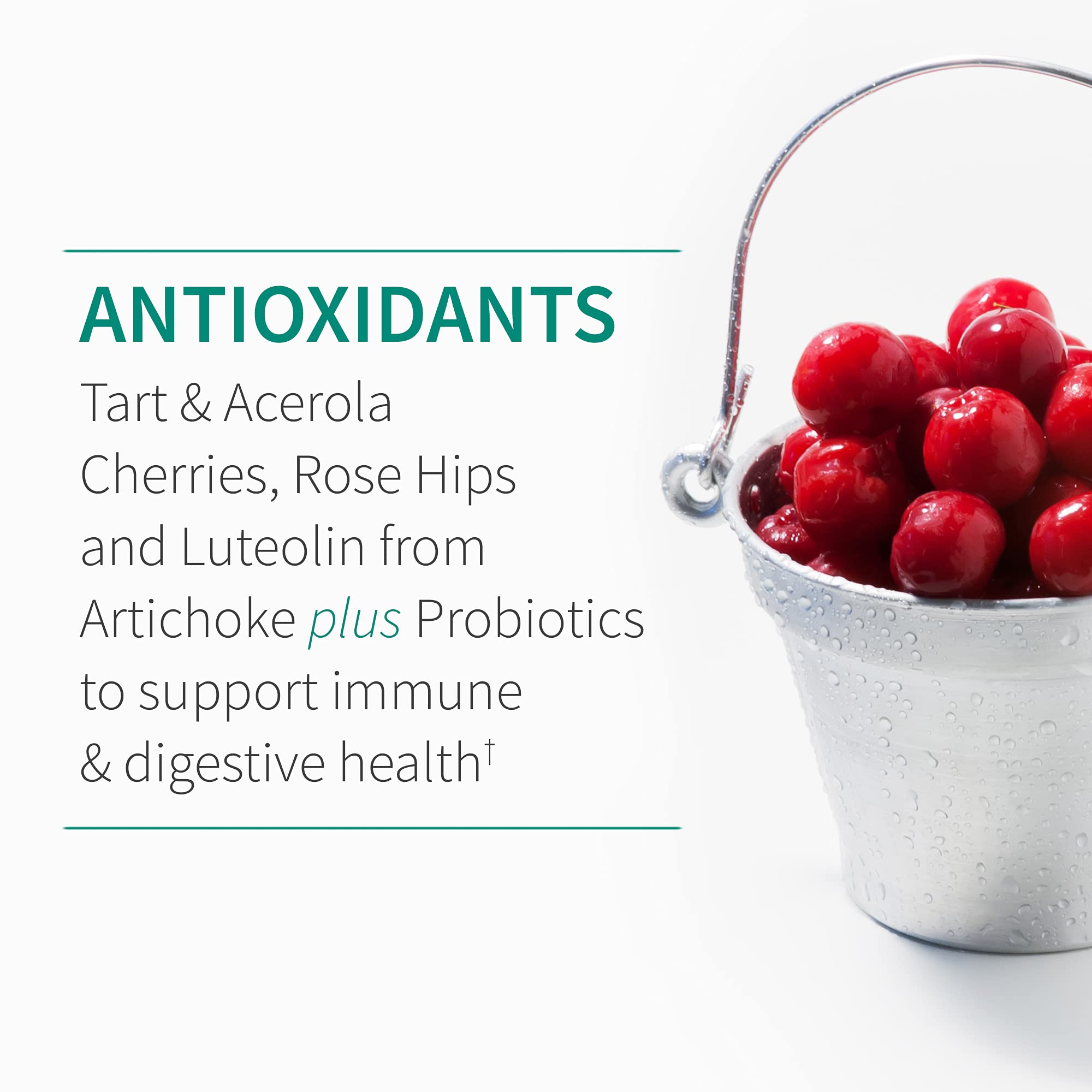 Garden of Life Quercetin daily wellness 30 Tablets on a wooden table
