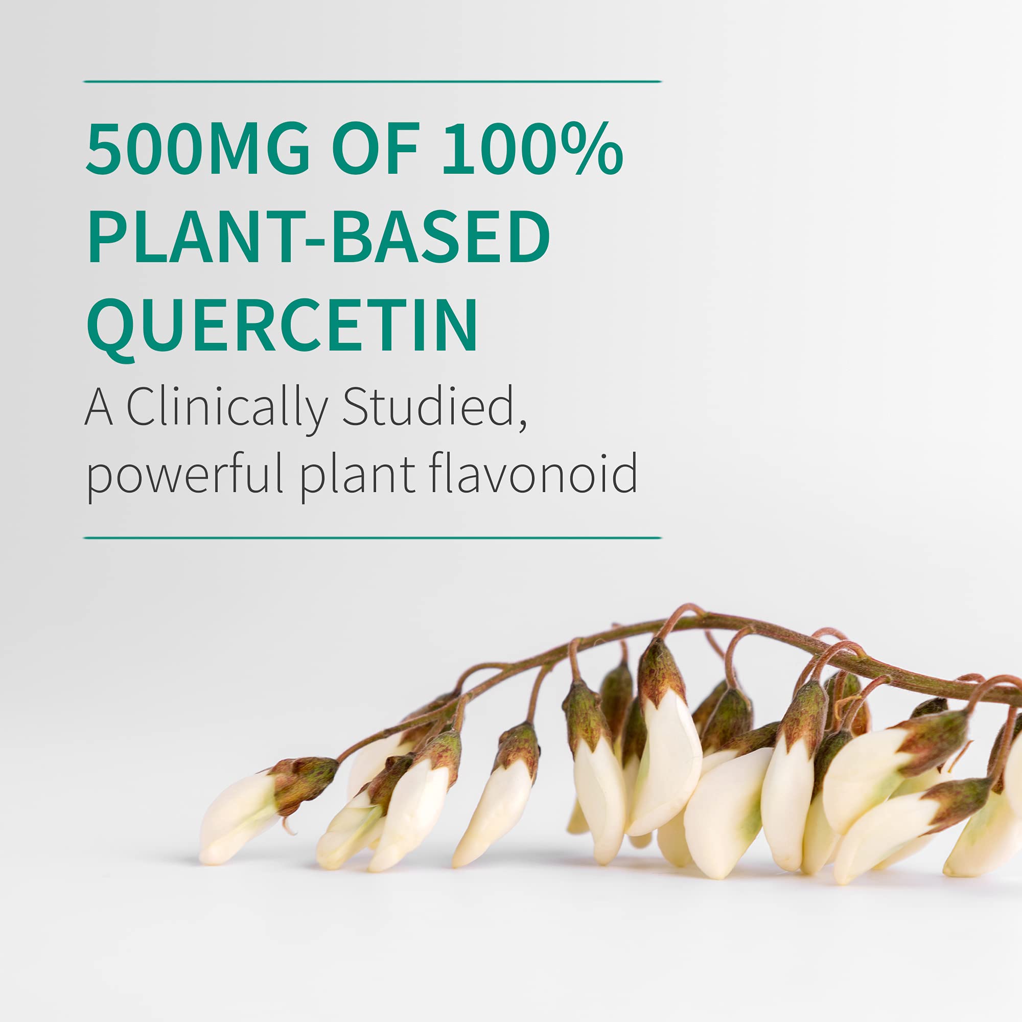 Garden of Life Quercetin daily wellness tablets with a glass of water