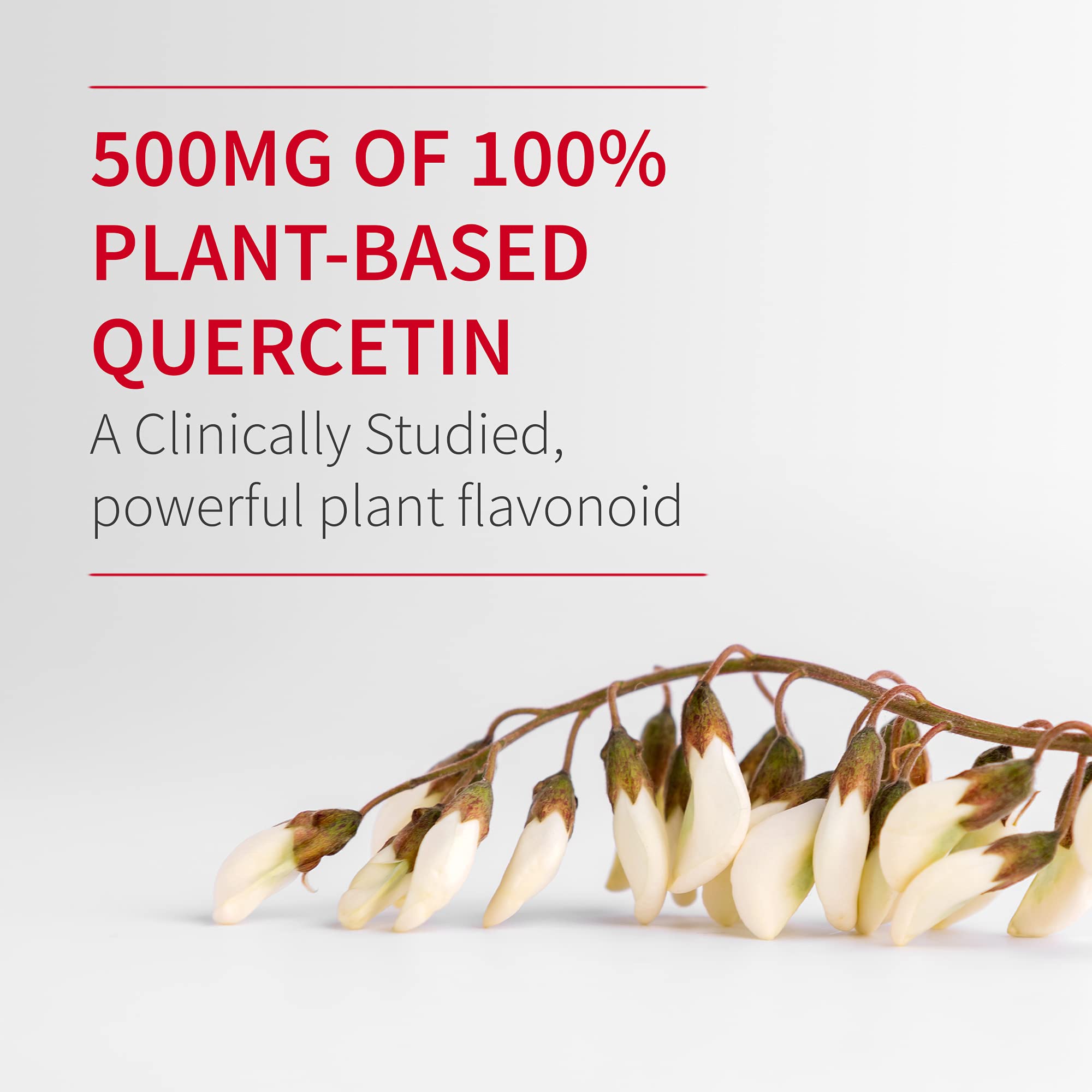 Garden of Life Quercetin Probiotic 500mg 60 Tablets with a glass of water