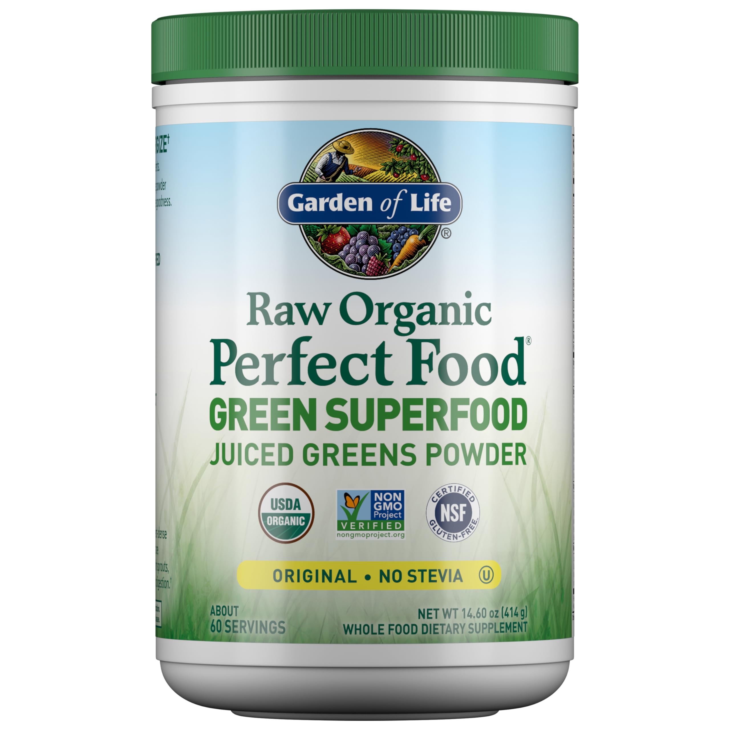 Garden of Life Raw Organic Perfect Food 422g front view