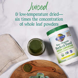 Garden of Life Raw Organic Perfect Food 422g ingredients list