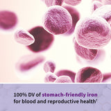 Garden of Life Raw Prenatal Vitamins 90 Capsules with fruits and vegetables