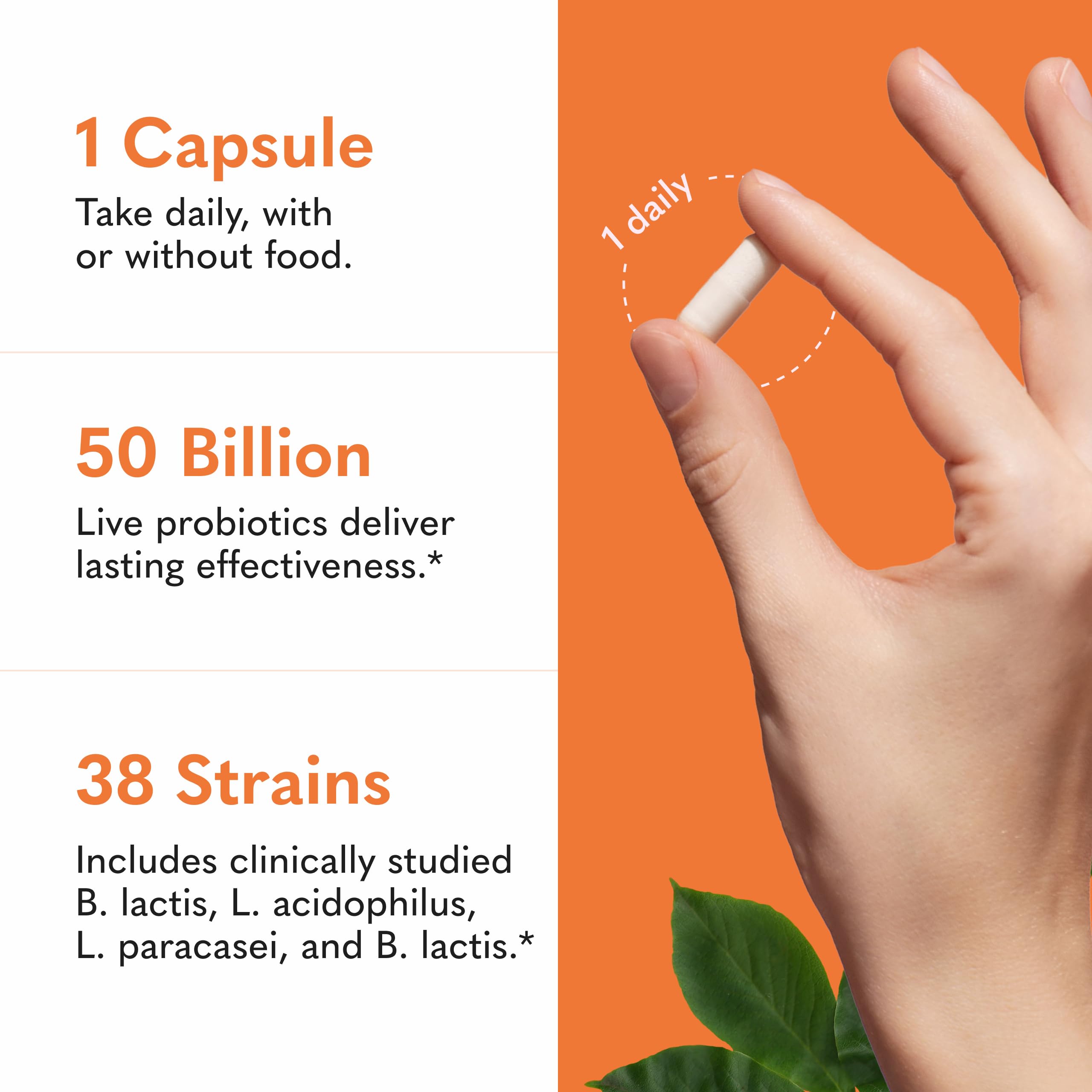 Garden of Life Raw Probiotics Ultimate Care capsule close-up