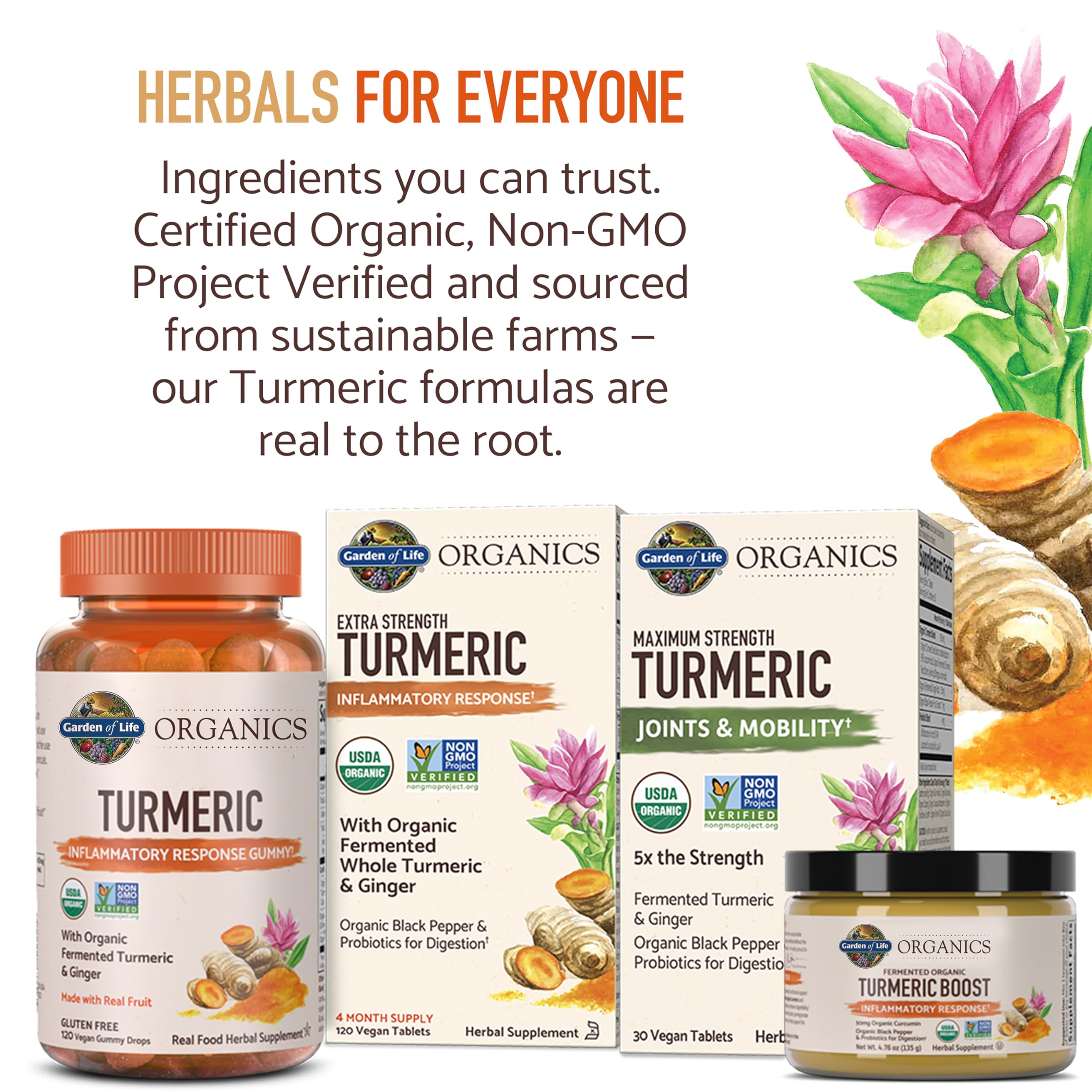 Garden of Life Turmeric Supplement in a lifestyle setting