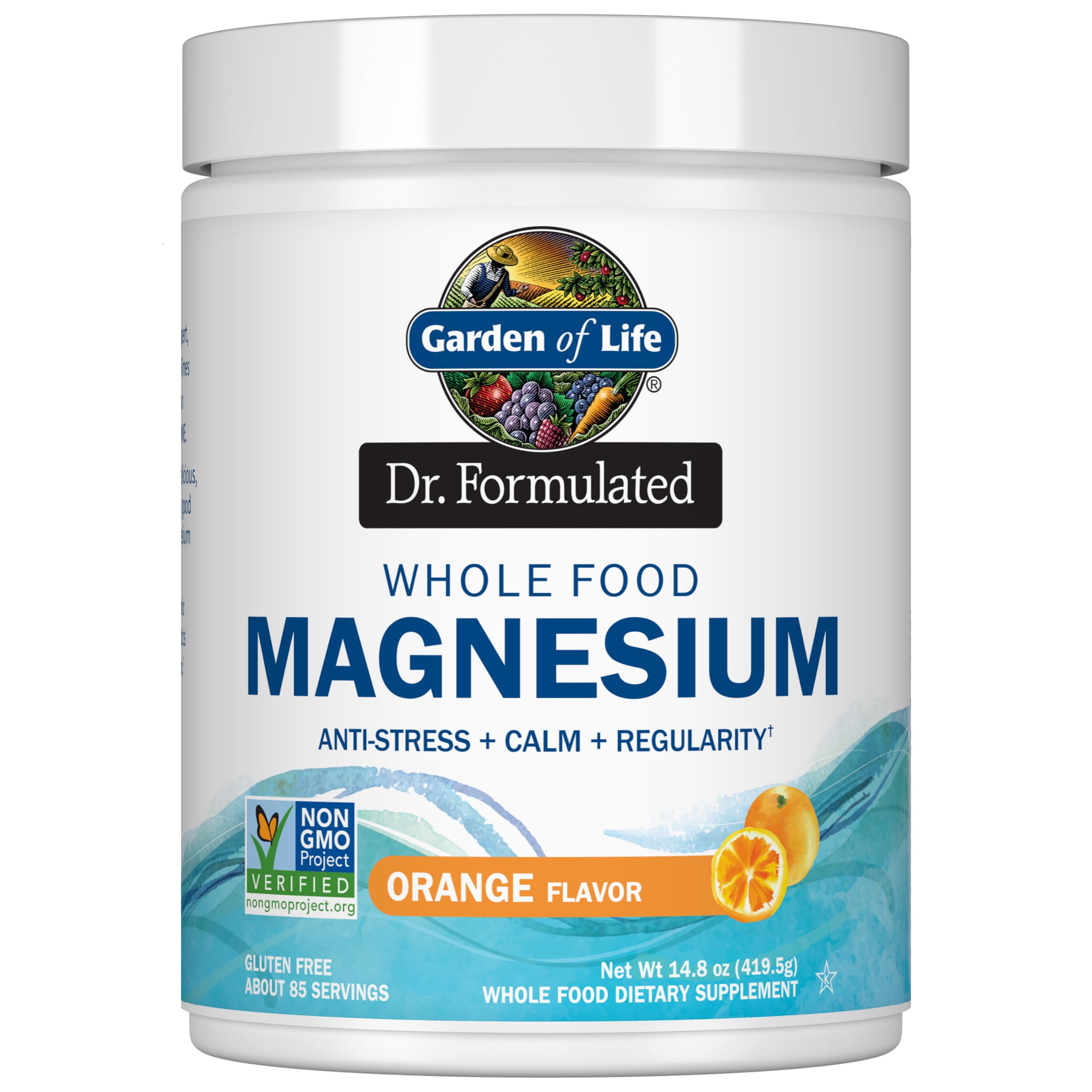 Garden of Life Whole Food Magnesium Powder 454g front view