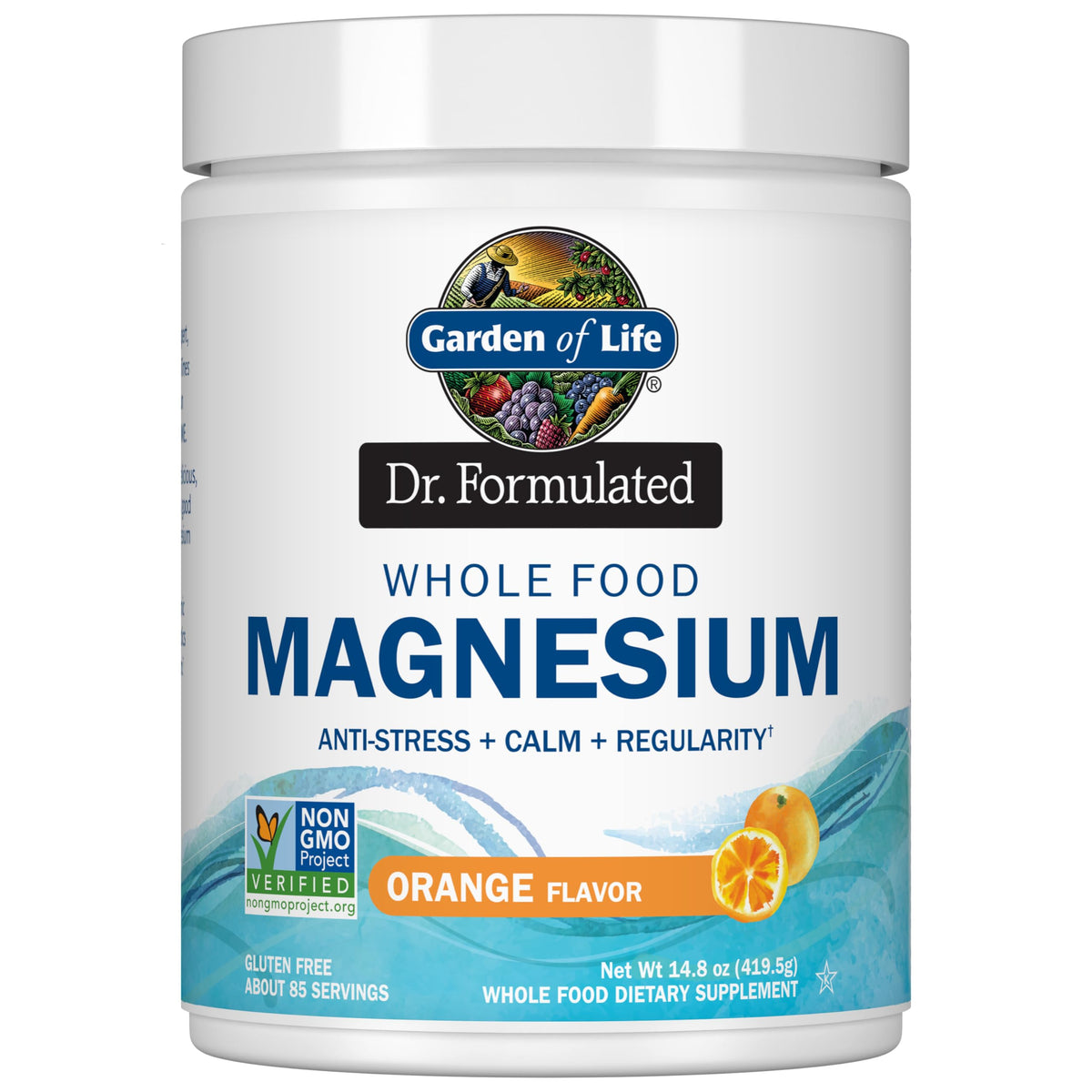 Garden of Life Whole Food Magnesium Powder 454g front view
