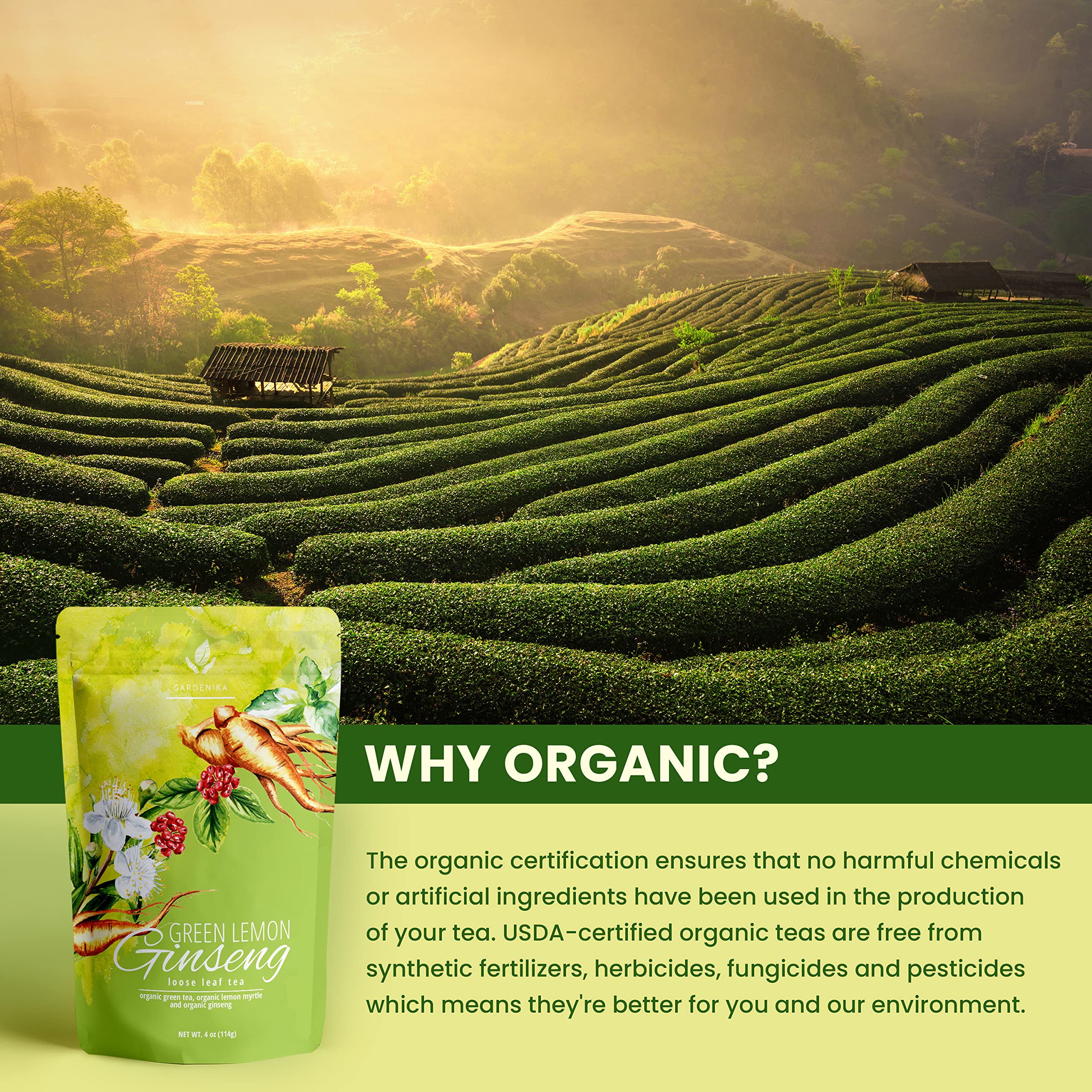 Gardenika Organic Green Tea with Tulsi and Cinnamon ingredients list