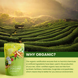 Gardenika Organic Green Tea with Tulsi and Cinnamon ingredients list