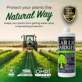 Garlic Barrier Garlic Extract Concentrate 2032g back view