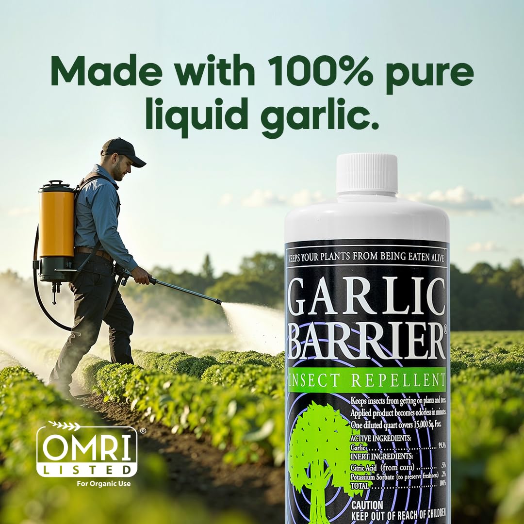 Garlic Barrier Garlic Extract Concentrate 2032g in garden setting