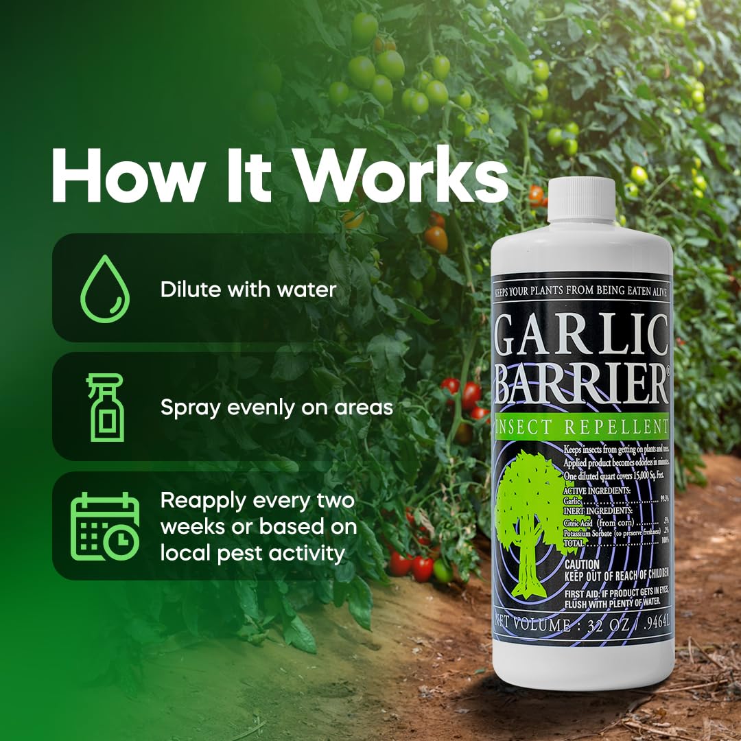 Garlic Barrier Garlic Extract Concentrate 2032g packaging