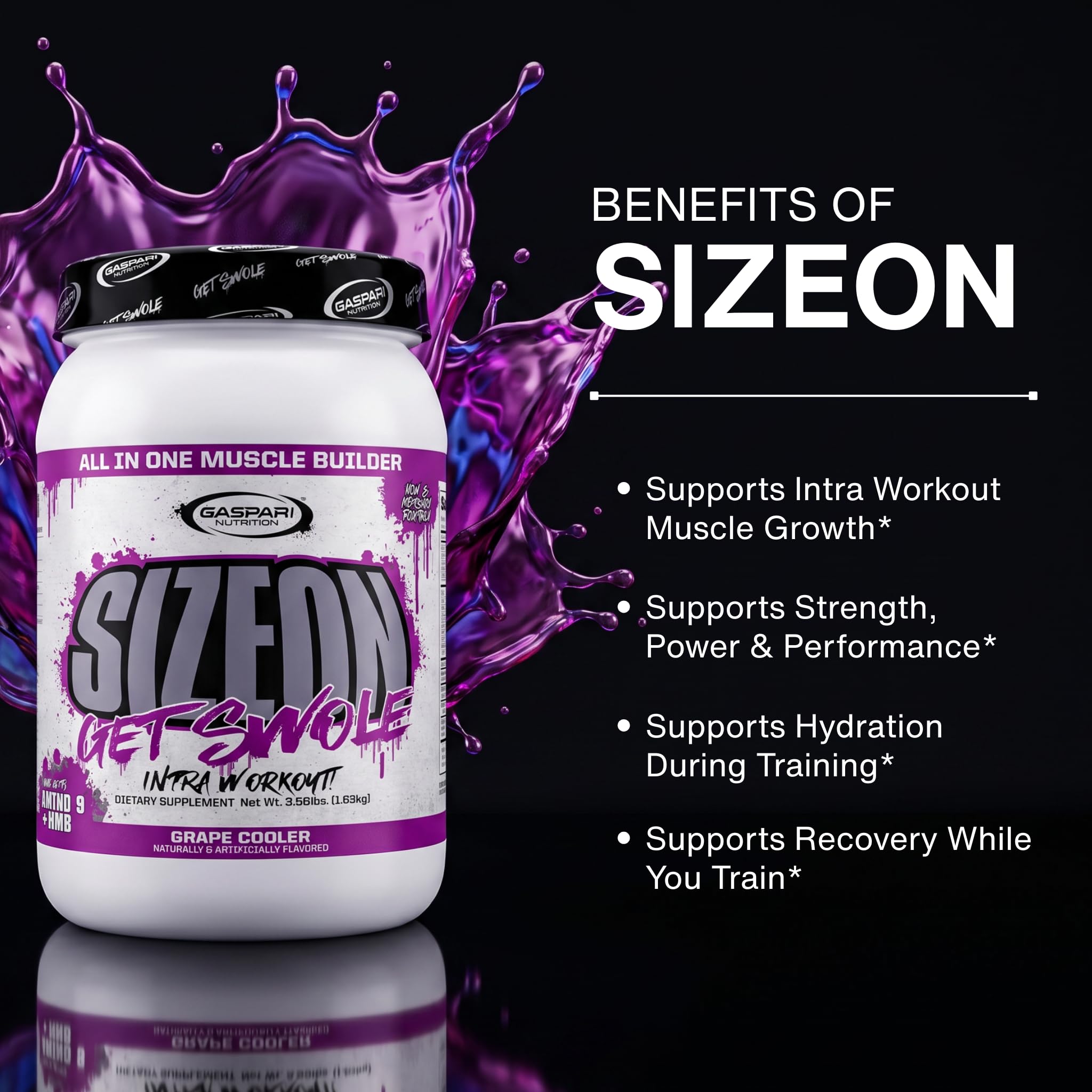 Gaspari Nutrition SizeOn Creatine 1628g on a gym bench