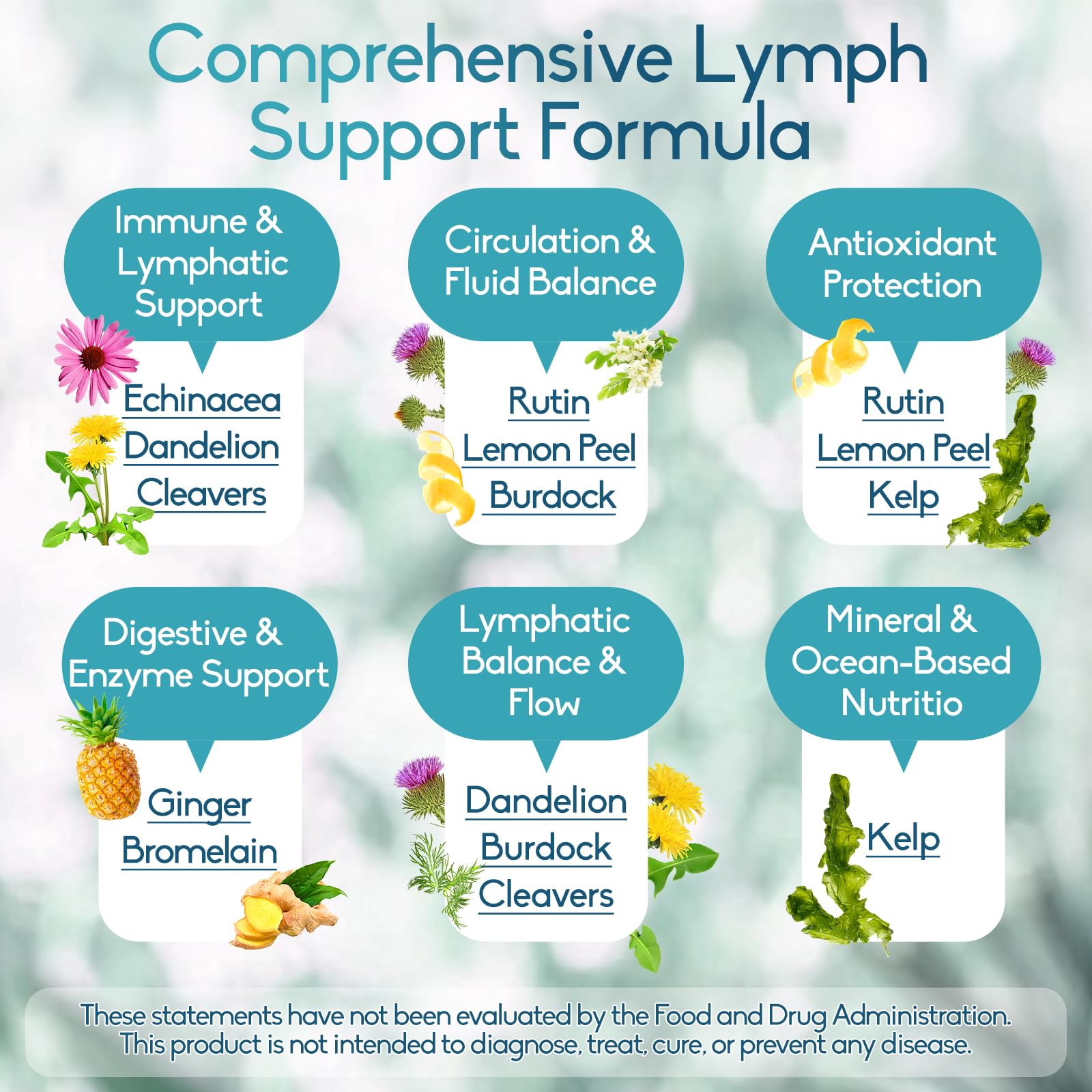 GAVYNETH Echinacea Lymphatic Support Capsules bottle with label