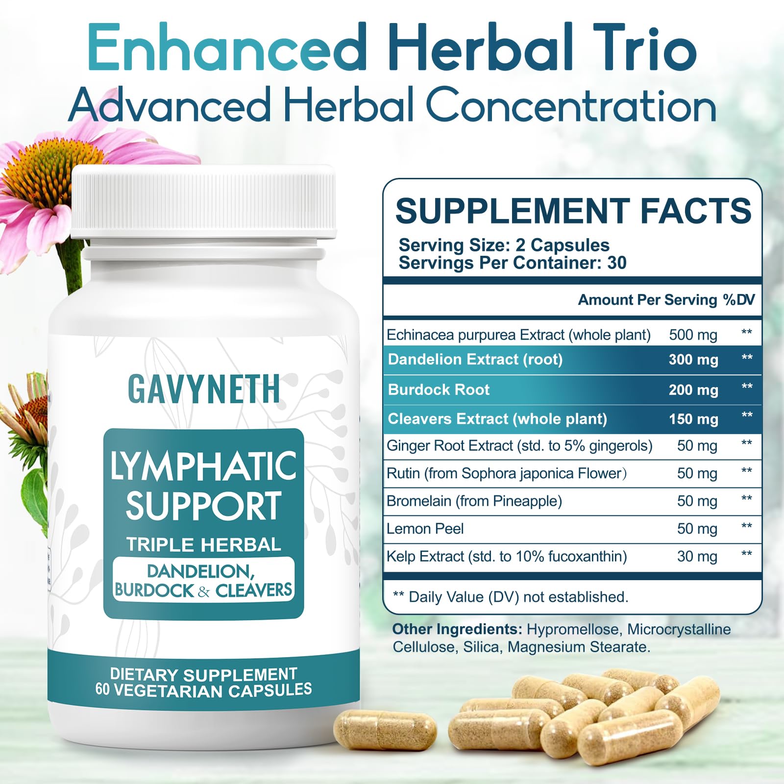 GAVYNETH Echinacea Lymphatic Support Capsules side view