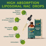 Geeoasis NAC Liquid Drops 600mg dosage dropper