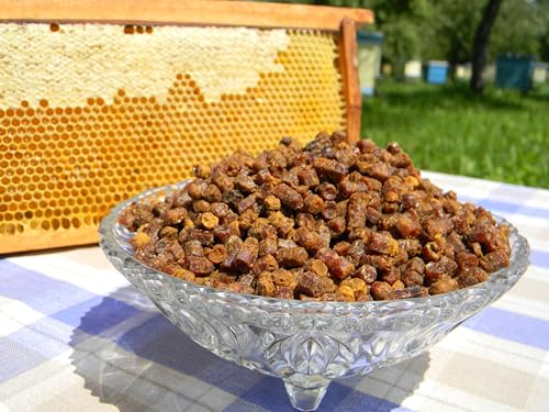 Generic Bee Bread 100g front view packaging