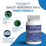 Generic Blended Vitamin & Mineral Supplement 60 capsules close-up