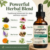 Generic Echinacea Herbal Supplement 159g lifestyle scene