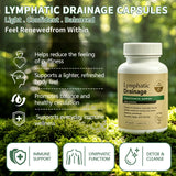 Generic Echinacea Lymphatic Support Supplement side view