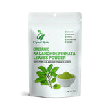 Generic Kalanchoe Pinnata Leaves Powder 200g front view