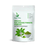 Generic Kalanchoe Pinnata Leaves Powder packaging