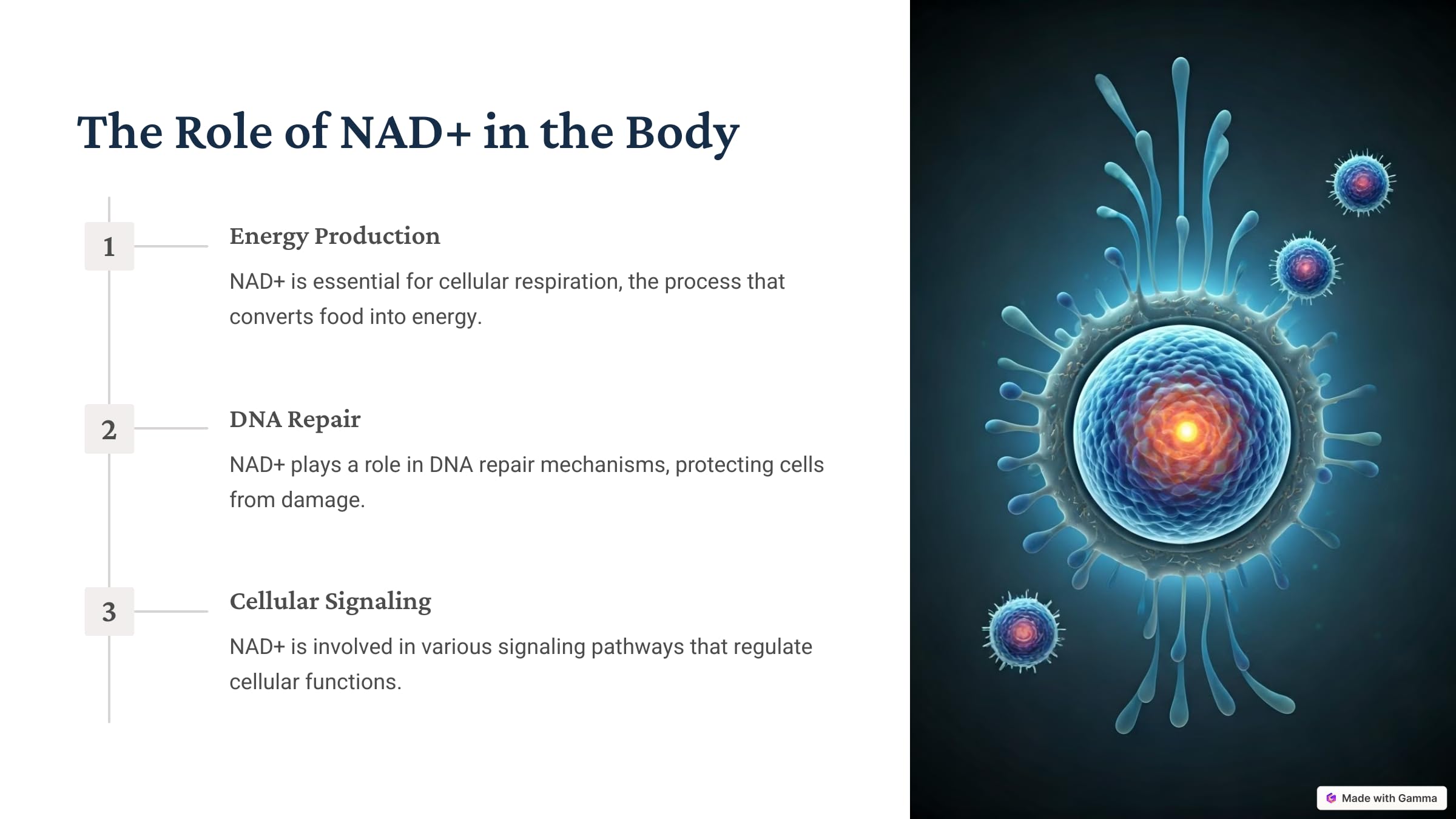 Generic NAD+ Resveratrol Blended Vitamin Supplement side view