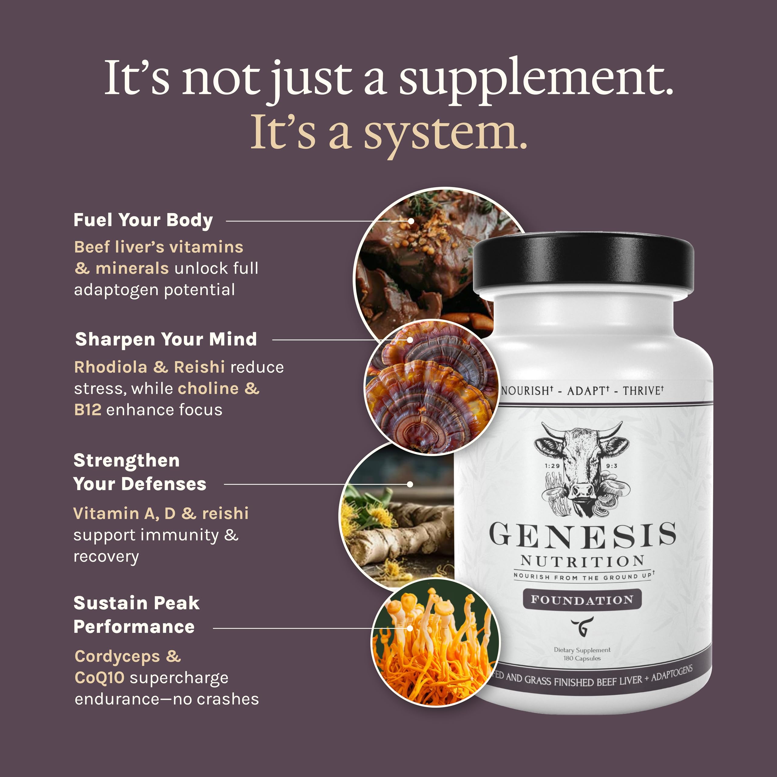 Genesis Nutrition Beef Liver Supplement back view with ingredient list