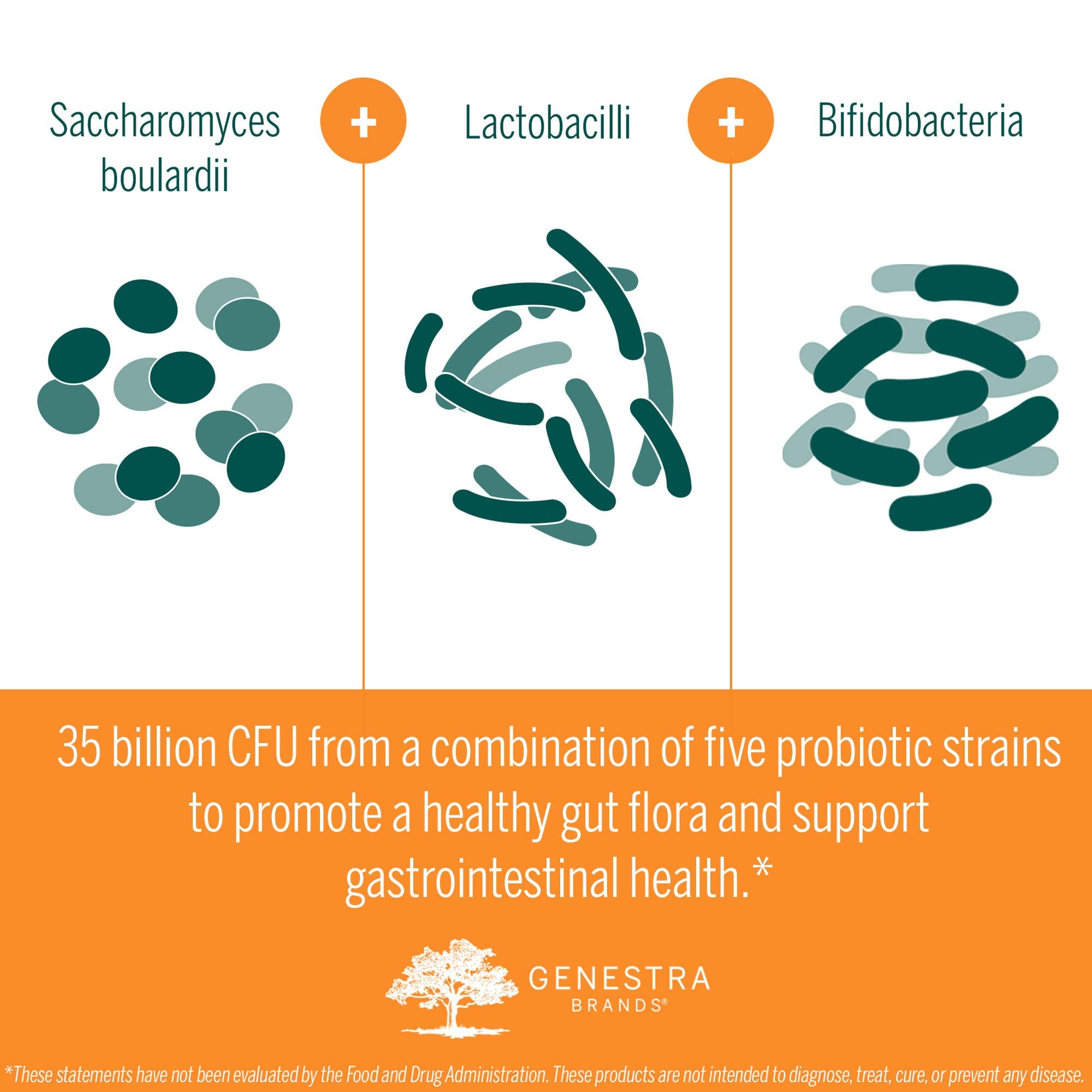 Genestra Brands Probiotic Capsules 35 Billion CFU with travel bag