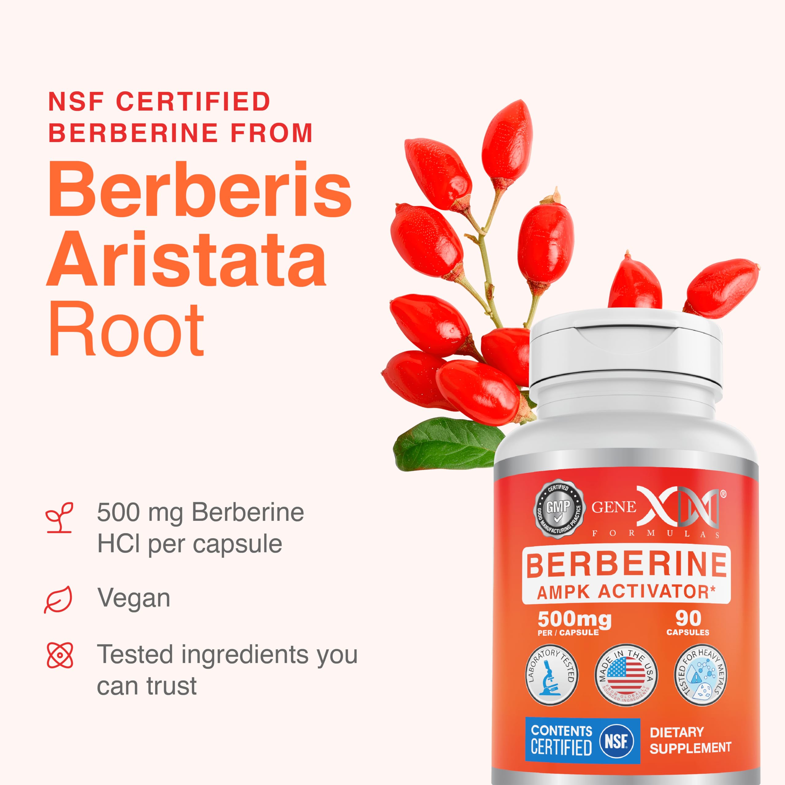Genex Formulas Berberine capsules in a hand